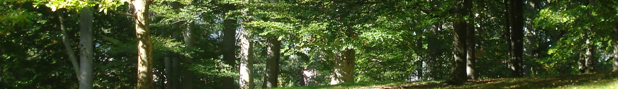 ヨーロッパ写真紀行2022、ドイツでのアドバイス